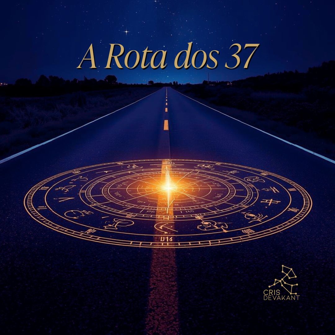 A Rota dos 37: O Reajuste da Sua Missão